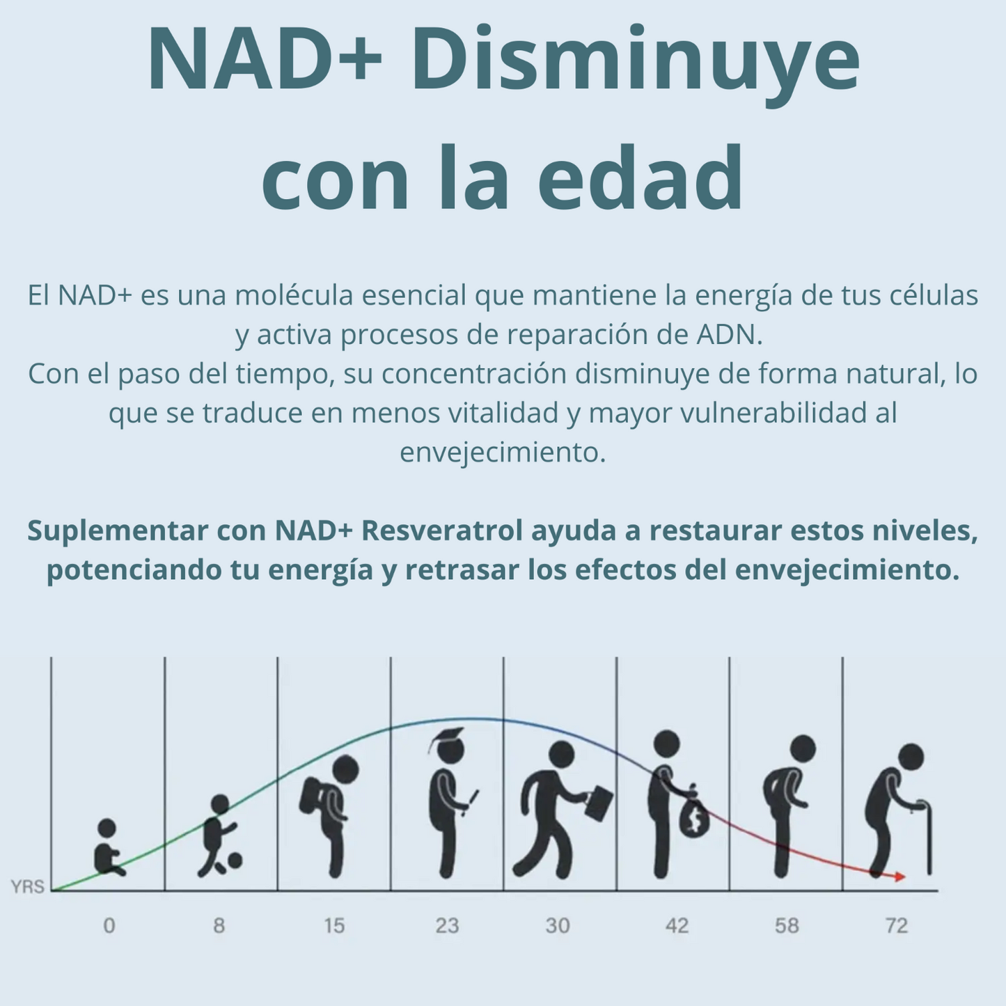 NAD+ Resveratrol juntos suplemento antienvejecimiento antiedad antioxidante natural longevidad energía vuelve a ser joven vino tinto beneficios regeneración celular reparación del ADN con NAD+ Vitamina B3 Nicotinamida Pepa de uva Vitis Vinifera Adulto mayor sin energía sin poder dormir piel apagada sin brillo arrugas estrés trabajar horas extras quedarse despierto hasta tarde aumento de canas retrasa el envejecimiento potencia tu energía